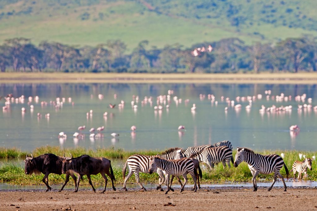 Ngorongoro Crater landscape for safari planning