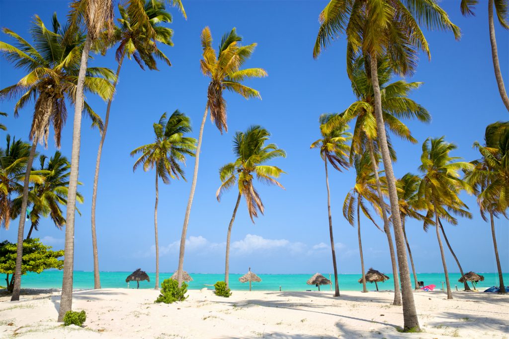 White sand and turquoise water on Zanzibar